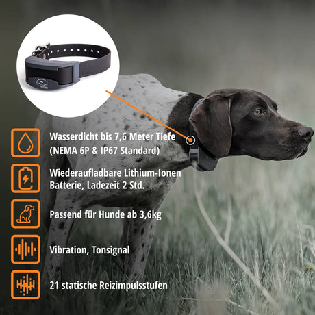 Teletac »sportDog« Handgerät & Halsband · 700m, 7-stufig