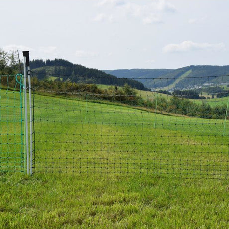 Weidetor »Euronetz« für Elektrozäune · 1,20m - 3m Breite 2 Spitzen, 112cm