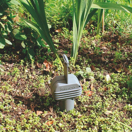 1x Wühlmausfalle »SuperCat Pro« Falle mit Stab & Stecher